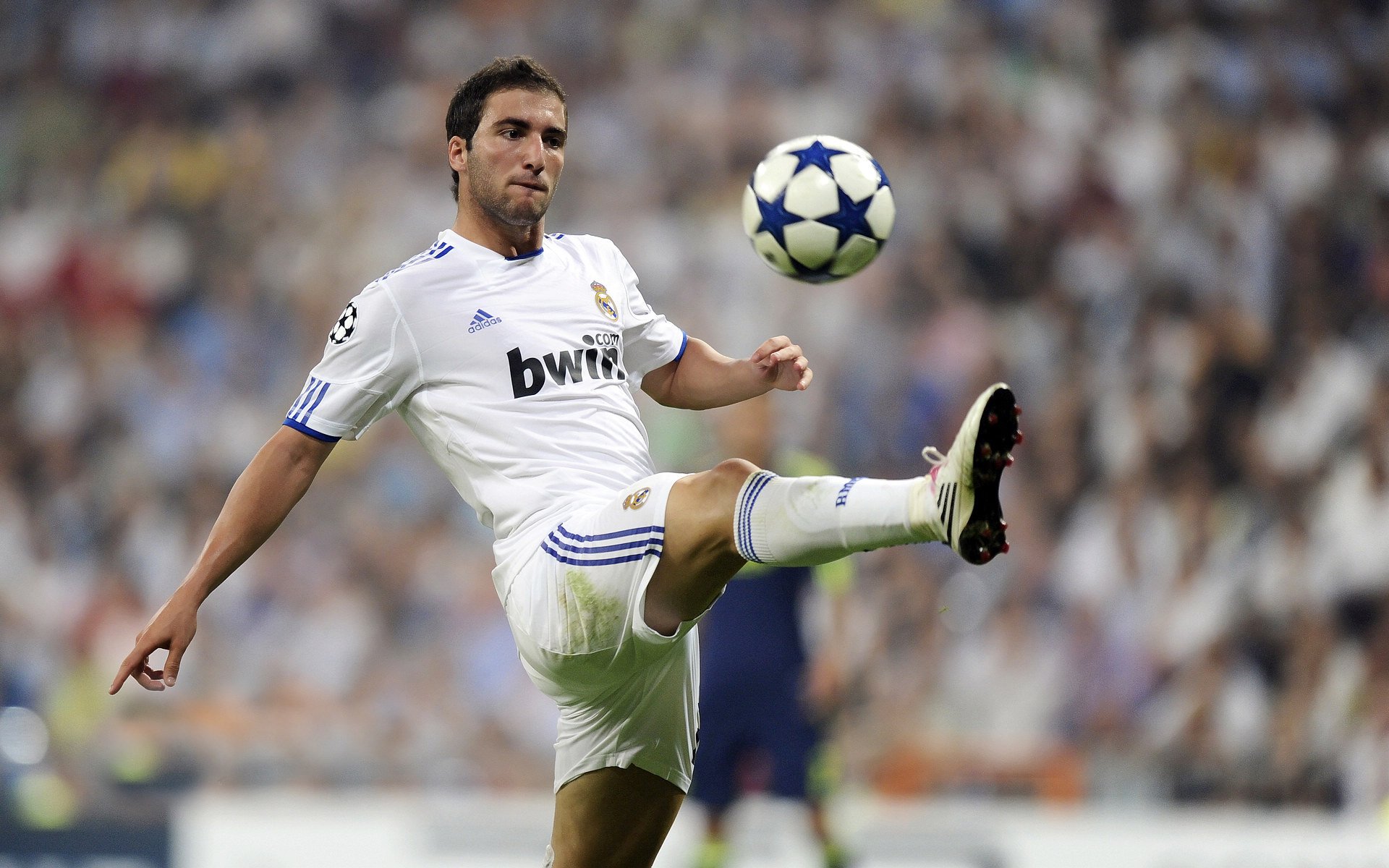 水下足球盛典，海底世界的运动狂欢，水下足球介绍